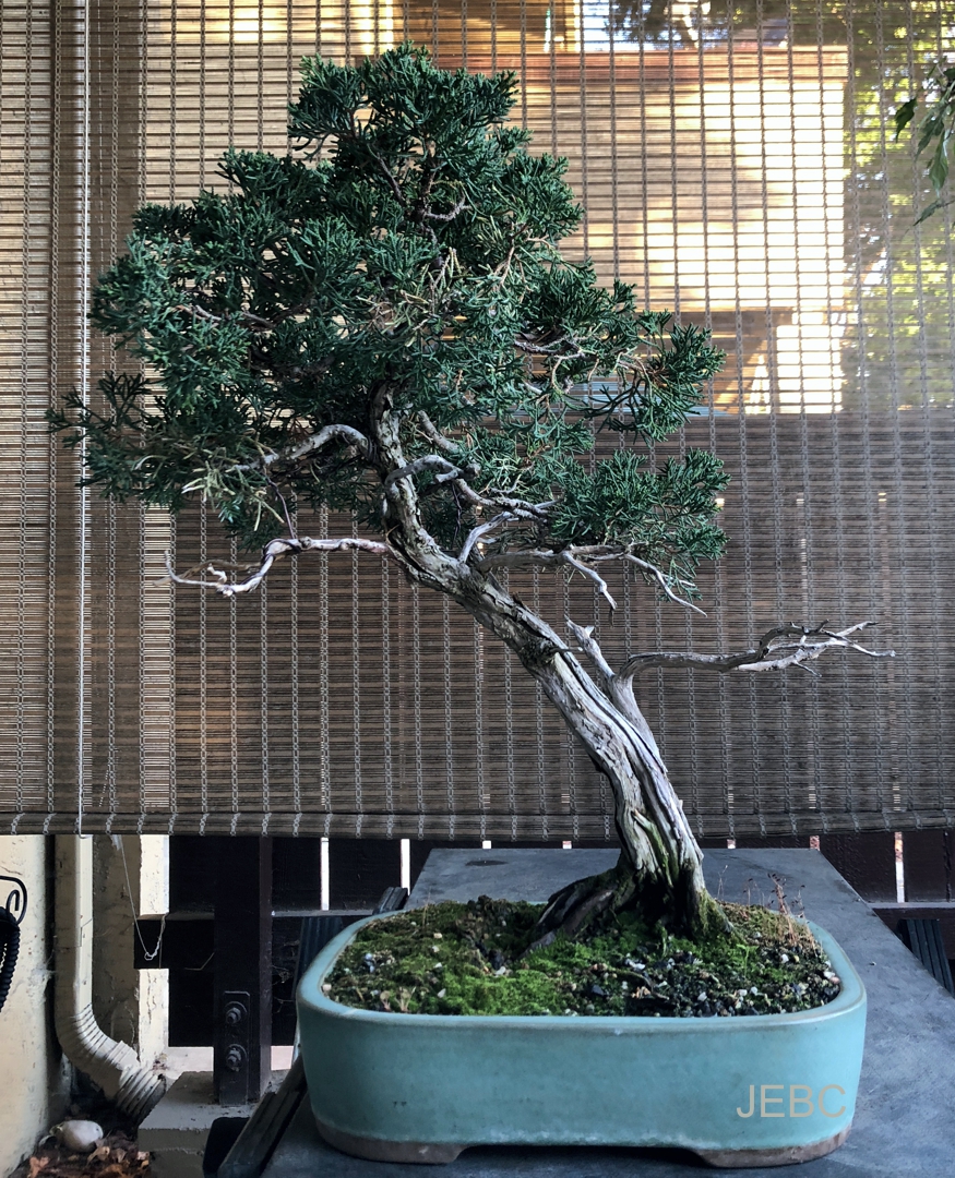 Seasonal Growth Review – Part 1