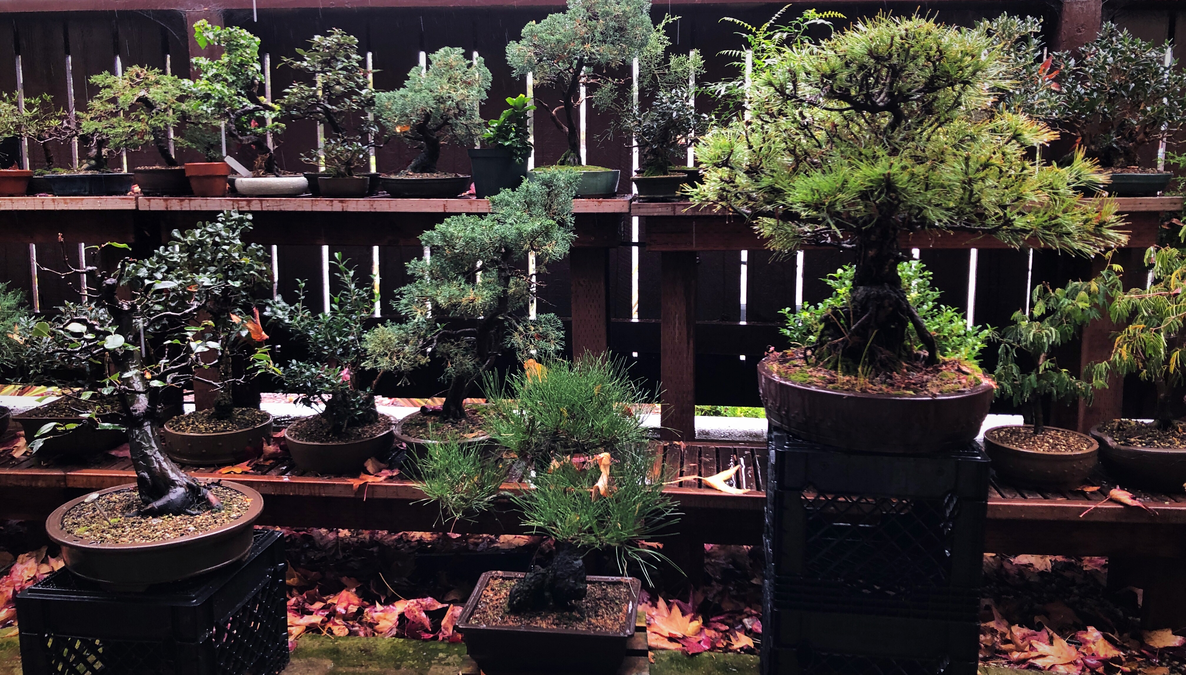 On a Cool Winter Morning; We are Lovin’it