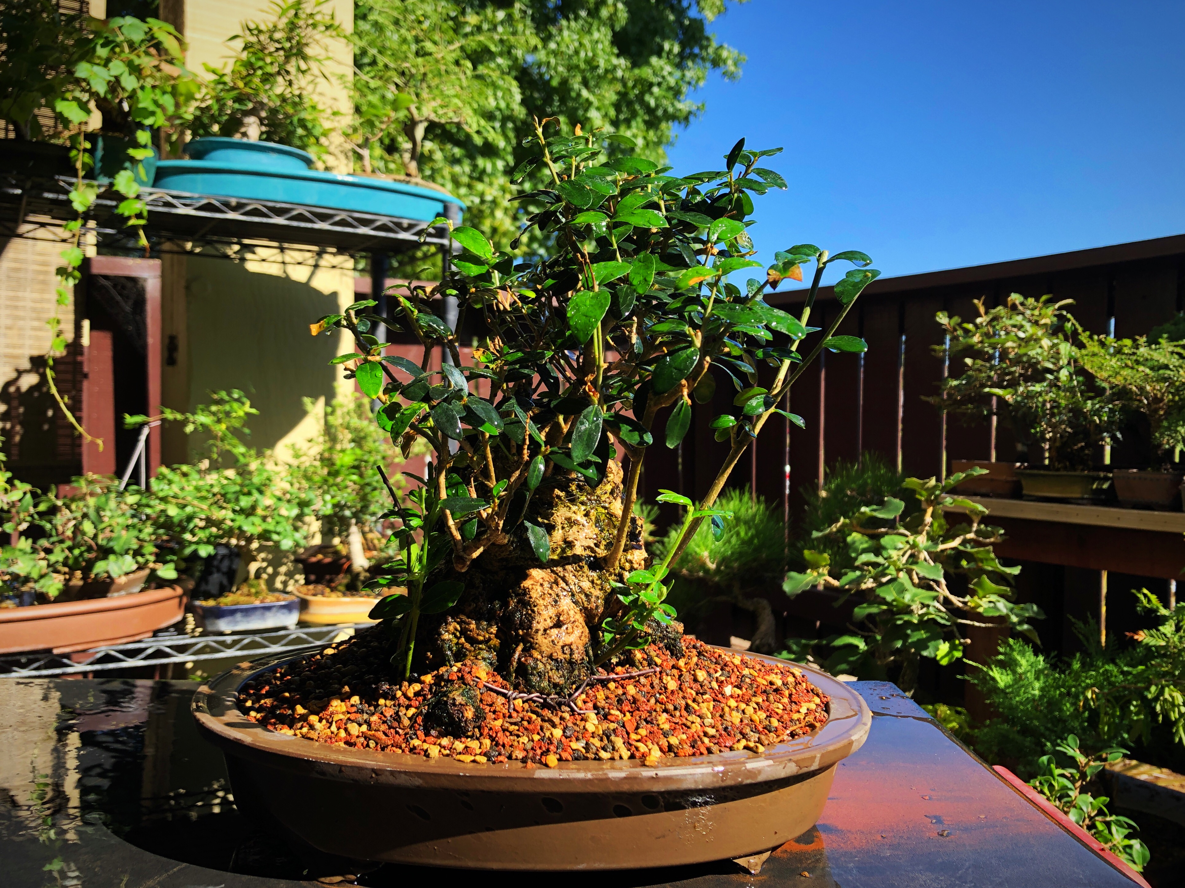 Is It September Already