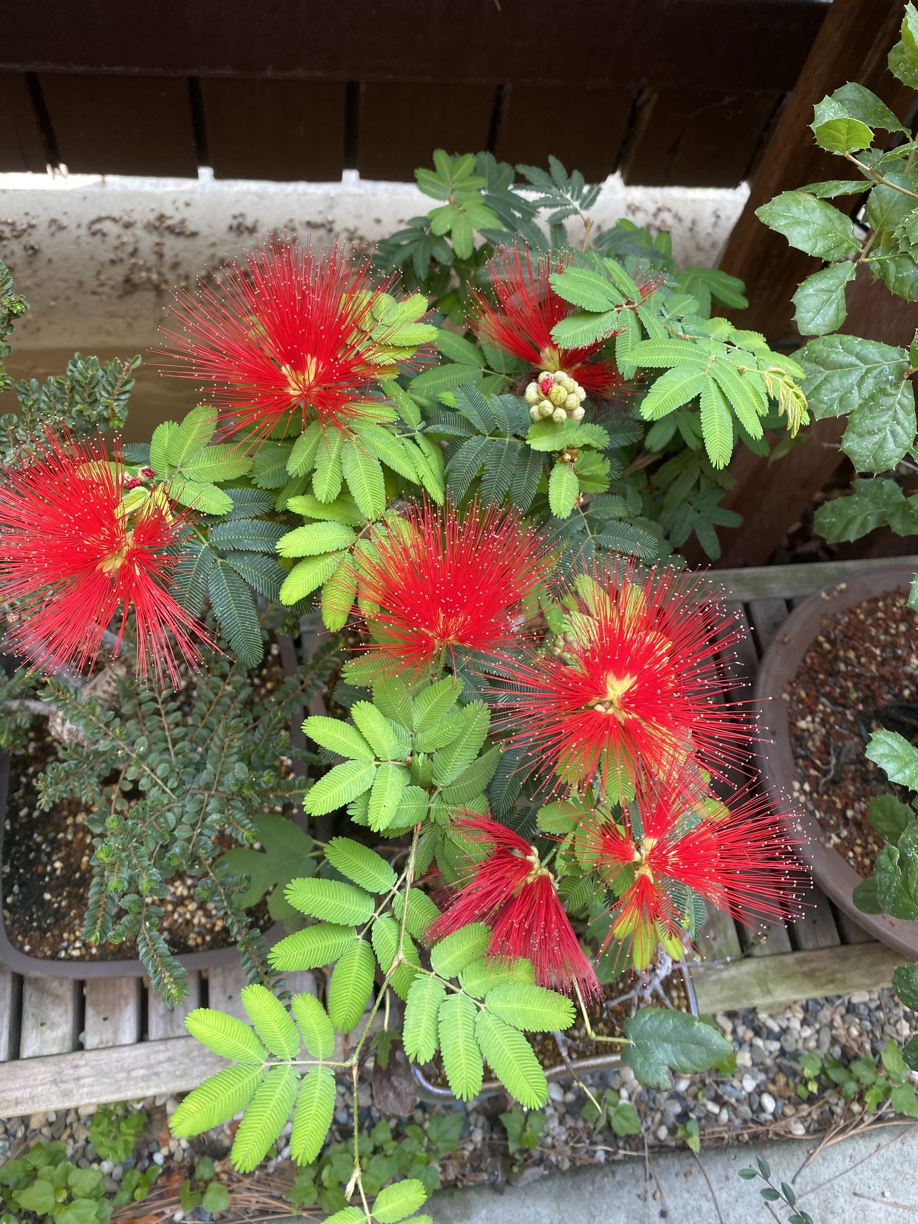 August Demo Calls for Creativity