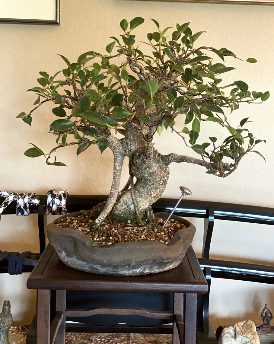 Last August Collection Cleanup