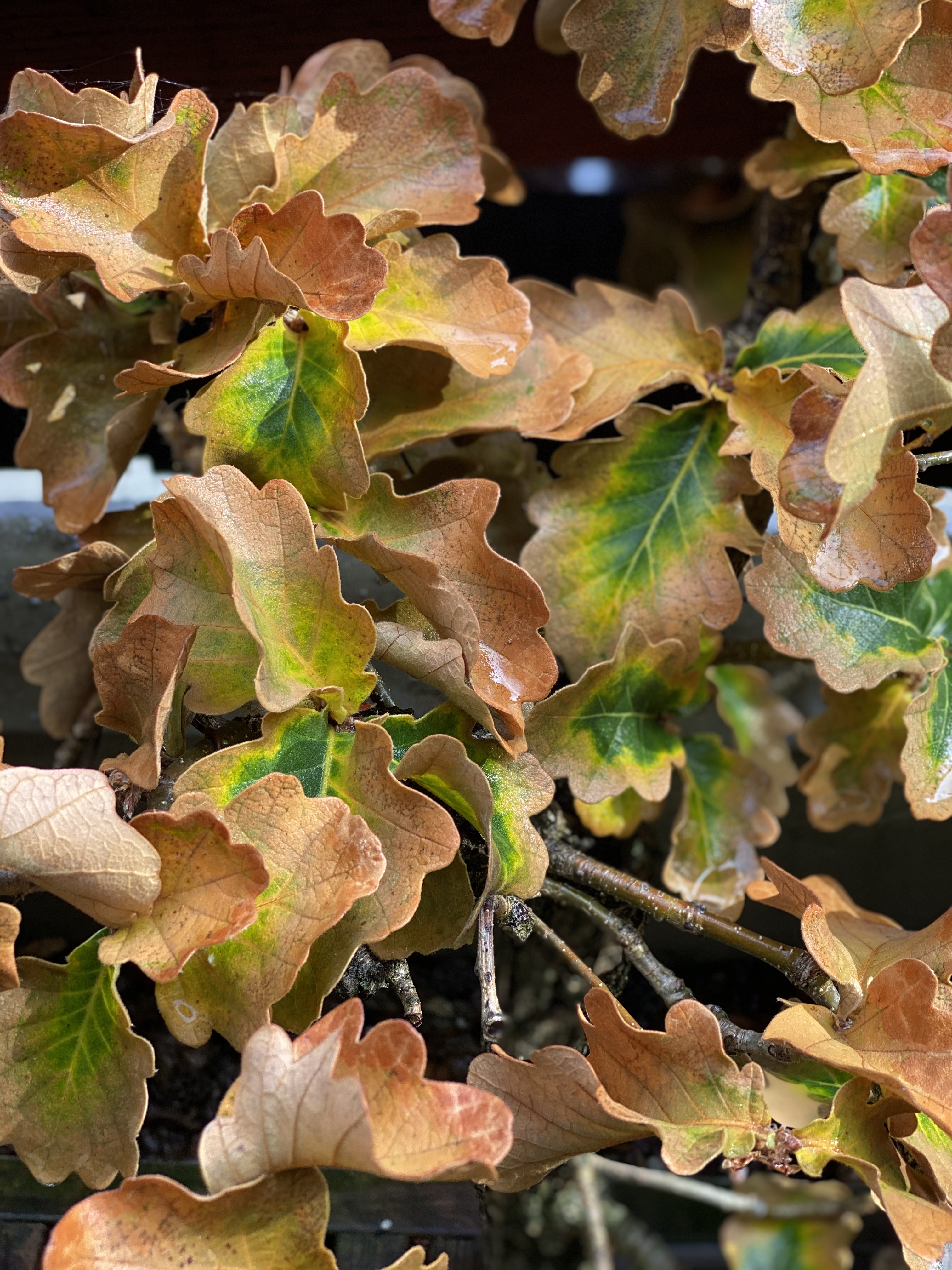 Is it November Already?