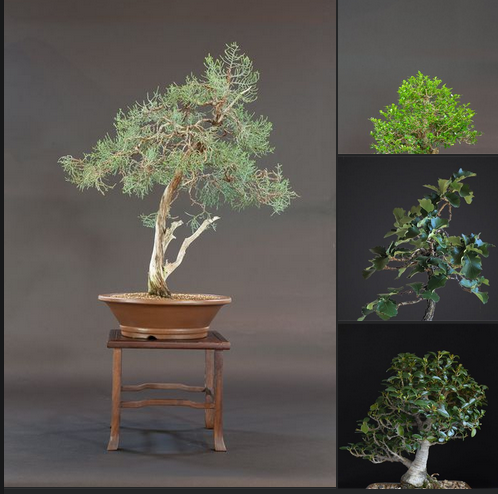 January 2022 – A New Year