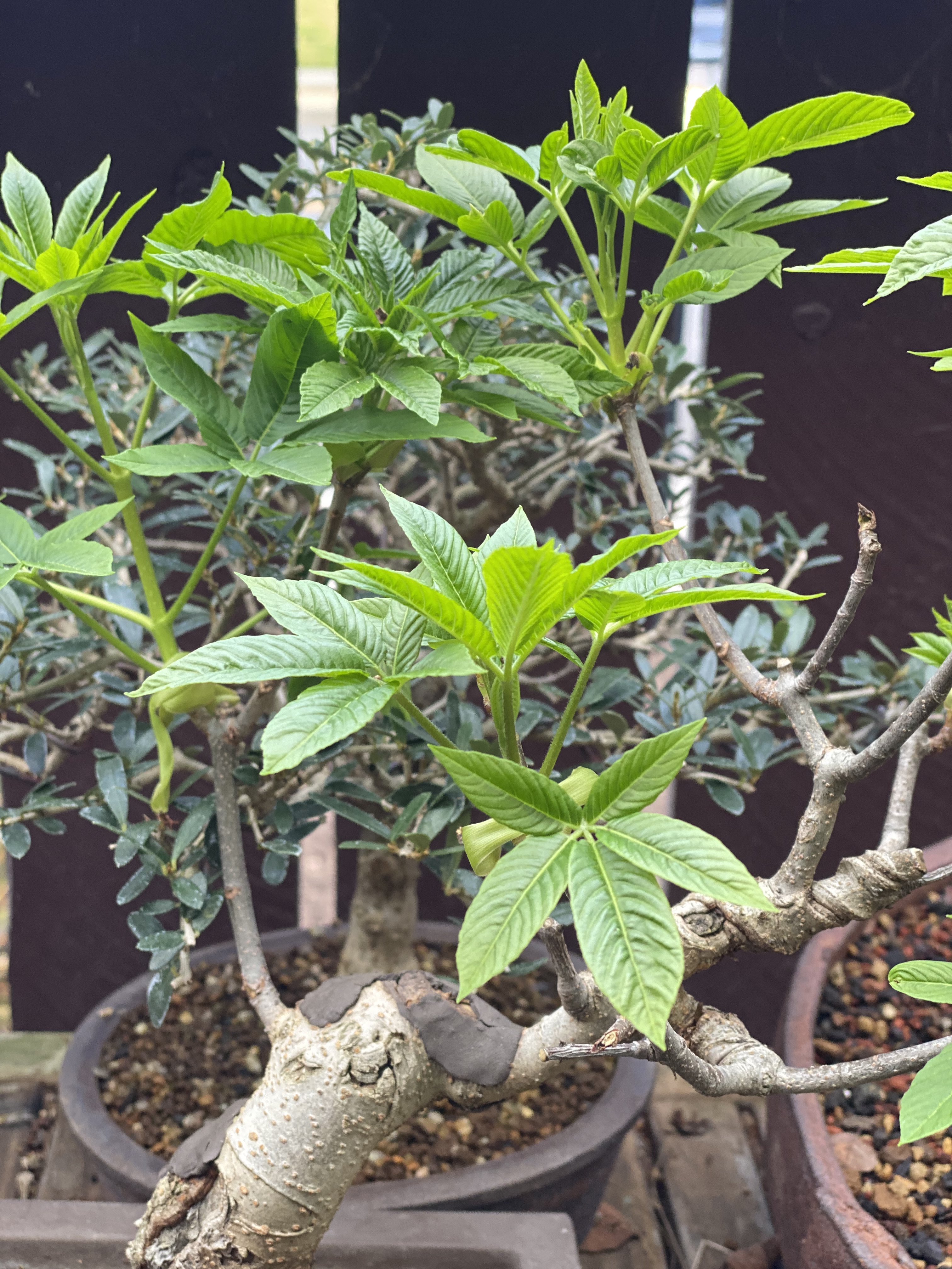 March in The Private Reserve