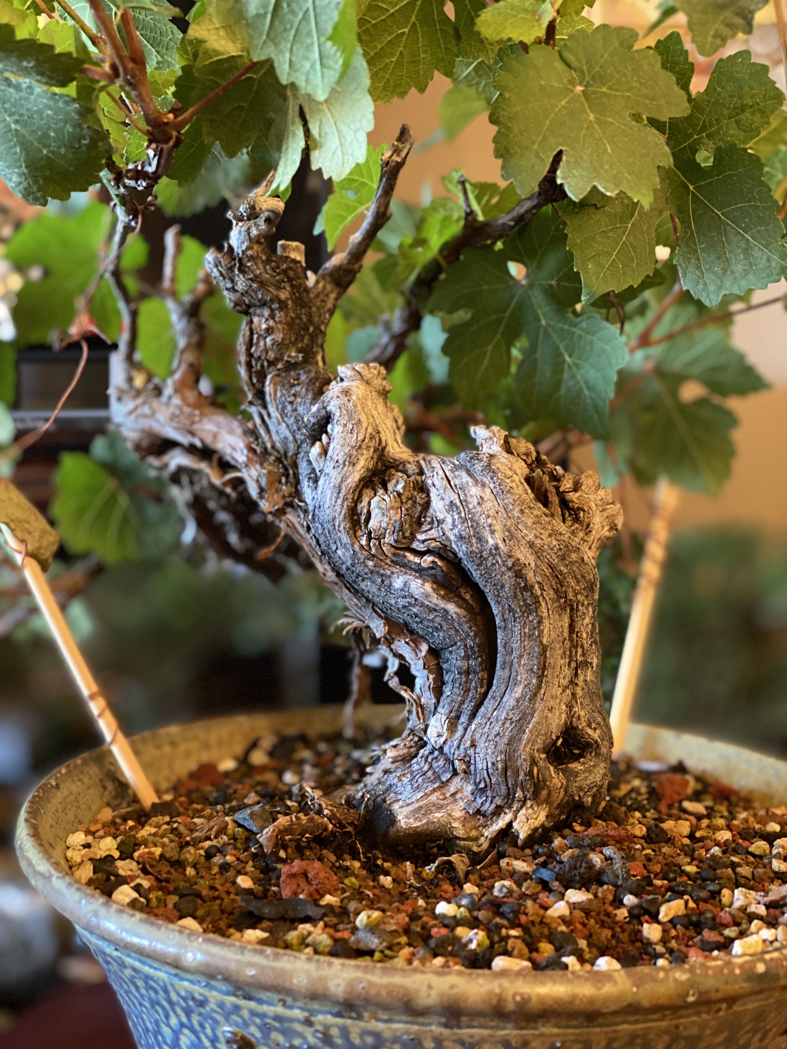 At the Height of Summer One Day…..