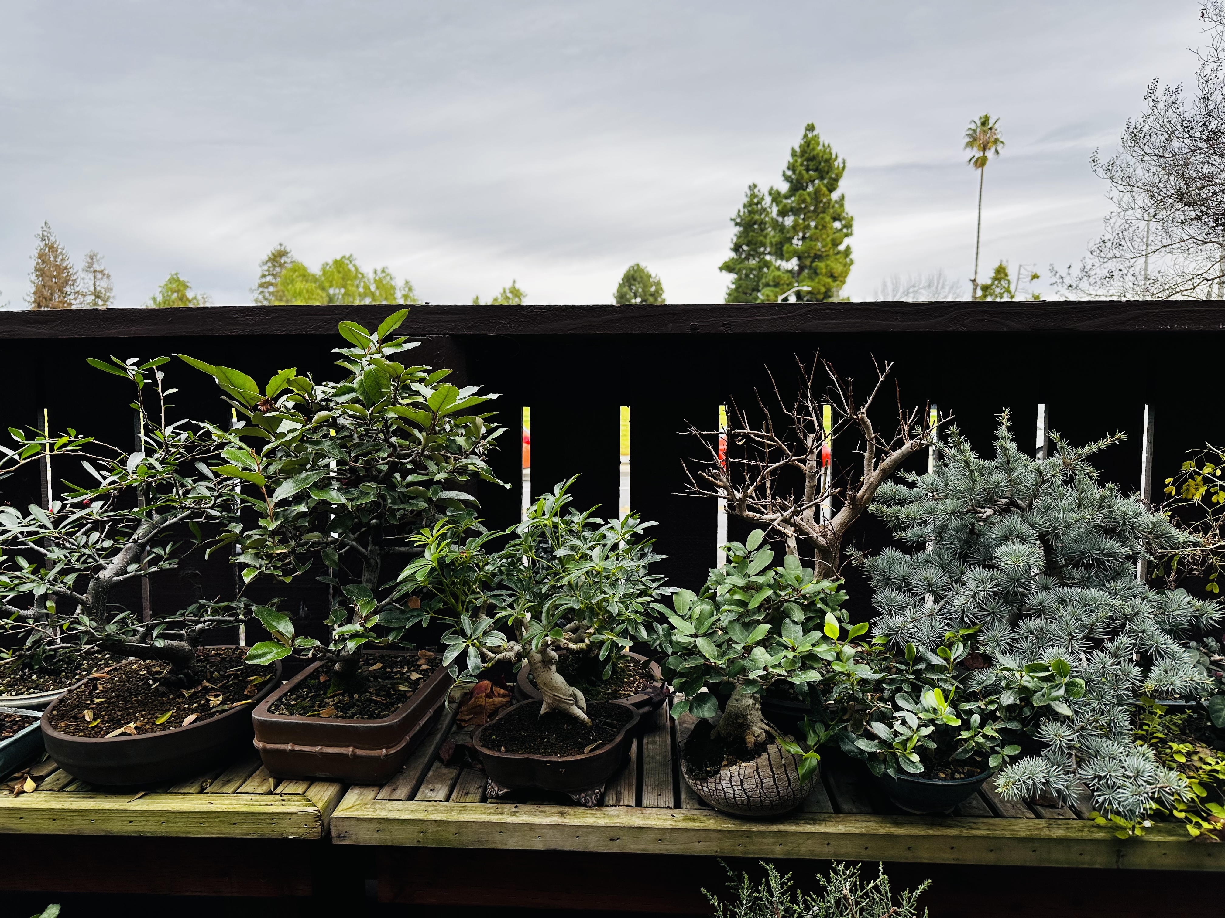 What a WET California Winter 2023