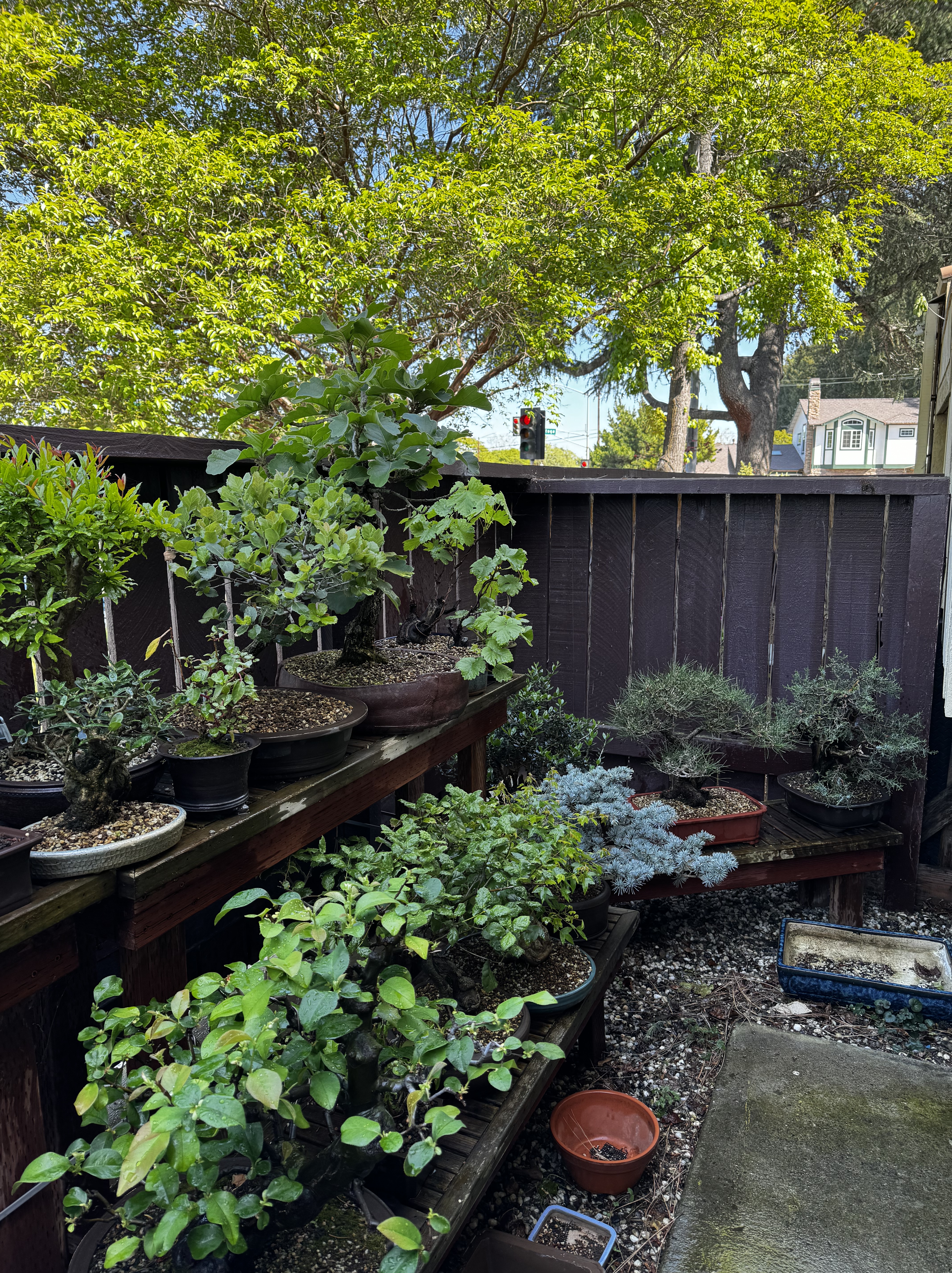 Getting Ready for a Show