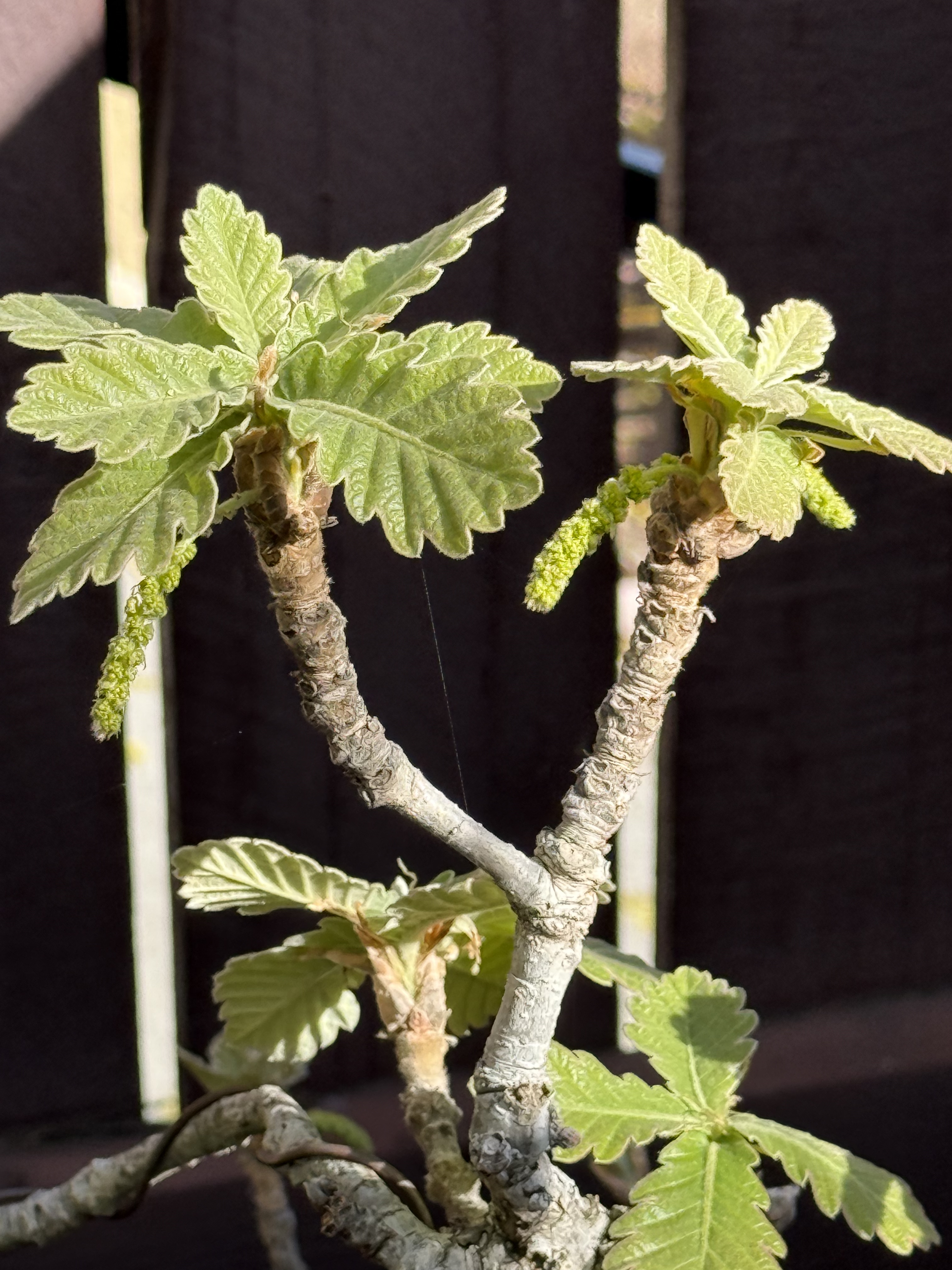 It is all in a journey